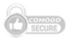 Logo secure
